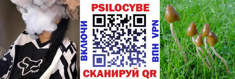 Галлюциногенные грибы GOLDEN TEACHER  shop официальный сайт  Бабаево 