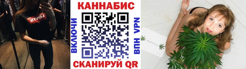 Каннабис планчик  Бабаево 